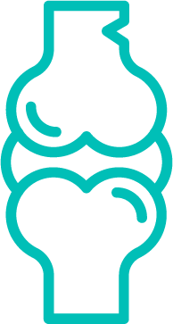 Ícono