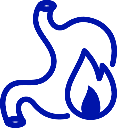 Ícono