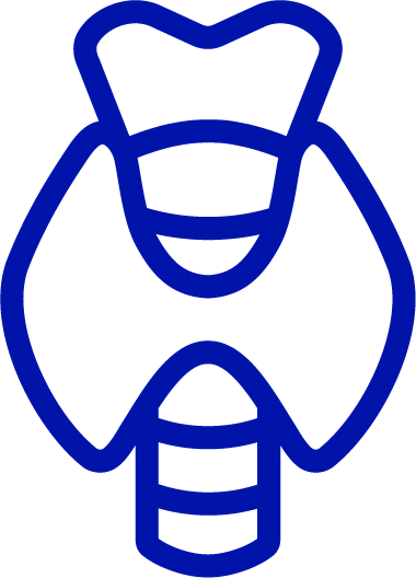 Ícono